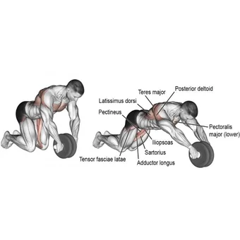 Rueda Abdominal Doble